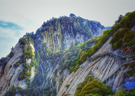 ����������ɽ���Ŵ���һ����