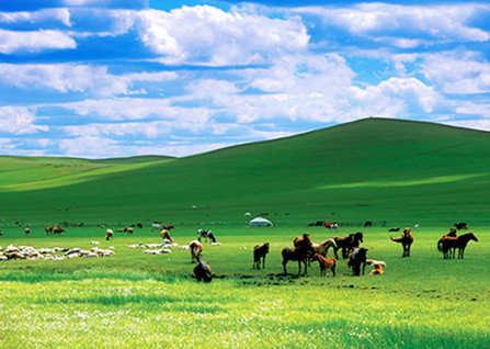 ���ױ������ΰ���