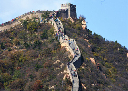 �˴��볤��һ����