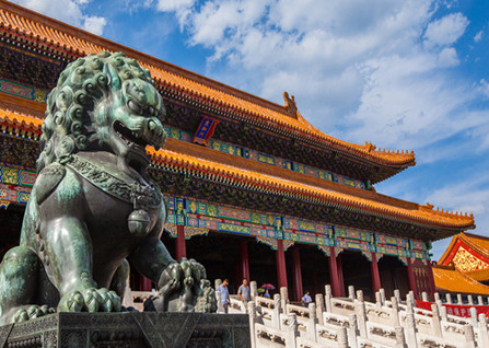 �ʹ���Ʊֻ���ڹ���Ԥ����