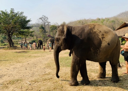 һ�·��ʺϵ���Щ��������