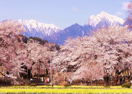 ���·��ʺϵ���Щ��������