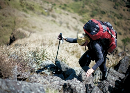 ��ɽ���ĸ����Ӻ�