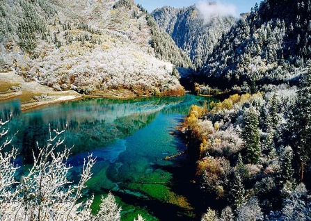 ���·ݹ������ı�������