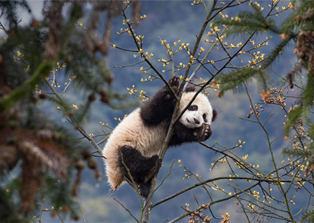 ���·��ʺ�ȥ��Щ��������