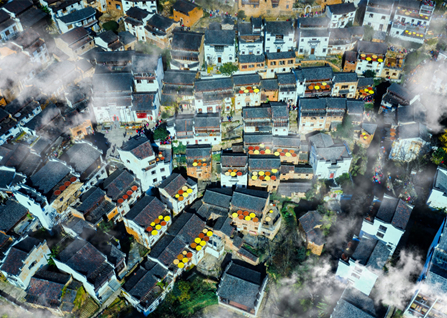 ʮһ�·��ʺ�ȥ��Щ��������