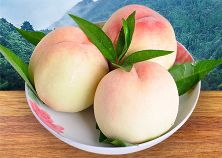 ��ɽˮ����ʲôʱ������