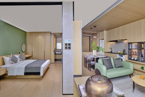 ���ڲ�Ԣ����˹���ʹ�Ԣ