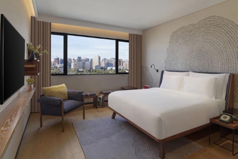 �����������ױ���������