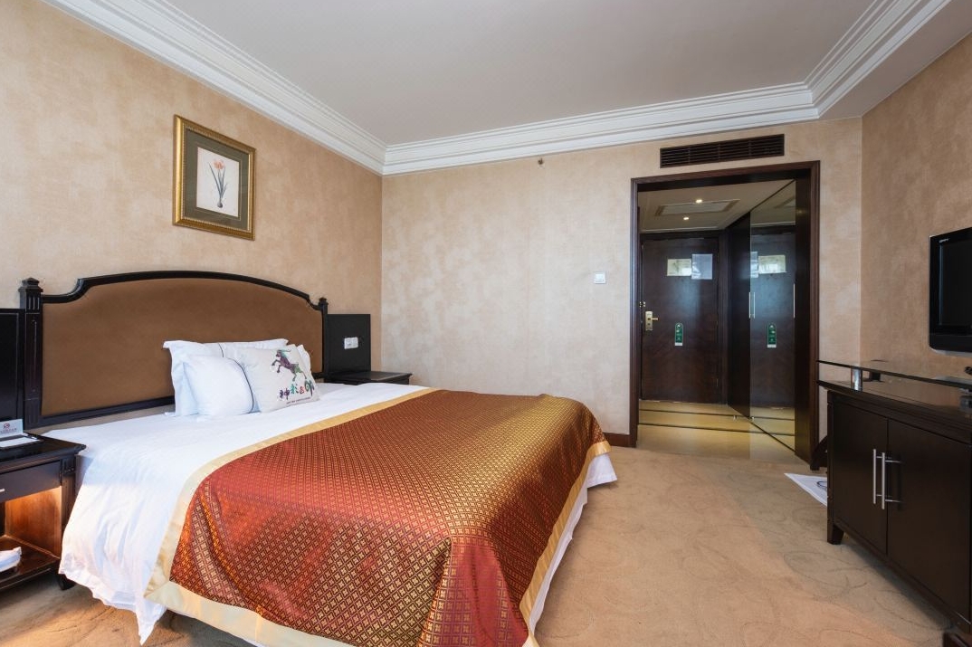 ����������Ƶ�