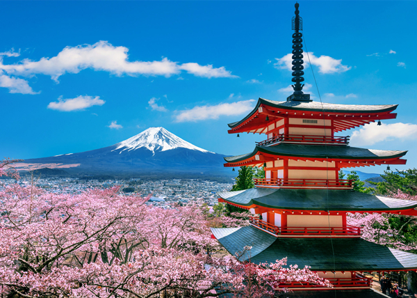 �Ϻ��������ձ�6��5����������