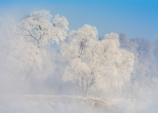 ������ڡ��