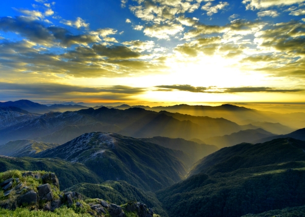 ����ɽ����ɭ�ֹ�԰