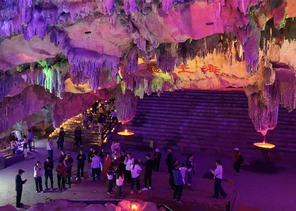 �����Ź���