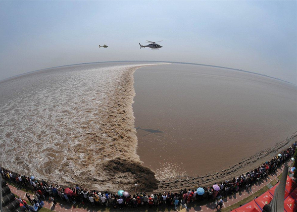 �����ι�Ǯ�����󳱹۳���԰