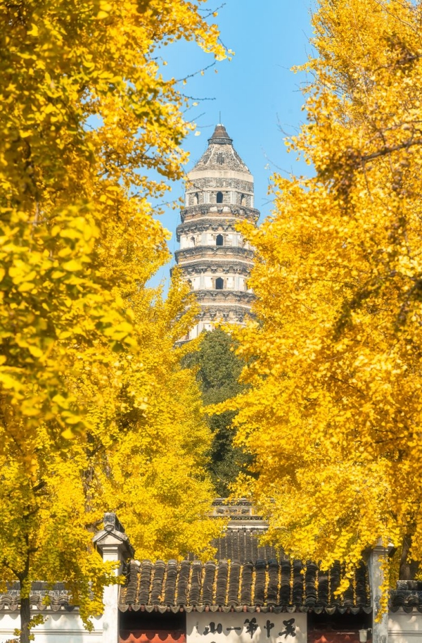 ����Ļ���