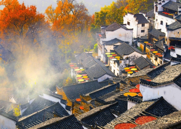 ��Դ��������