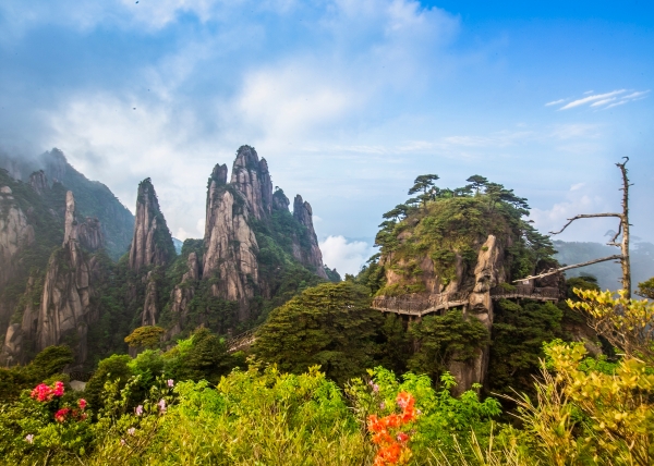 ������ɽ������ɽ