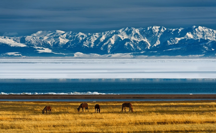 �½���������ľ��