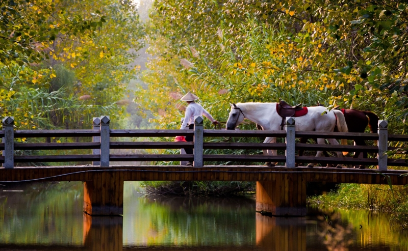 �����ں�ʪ�ع�԰