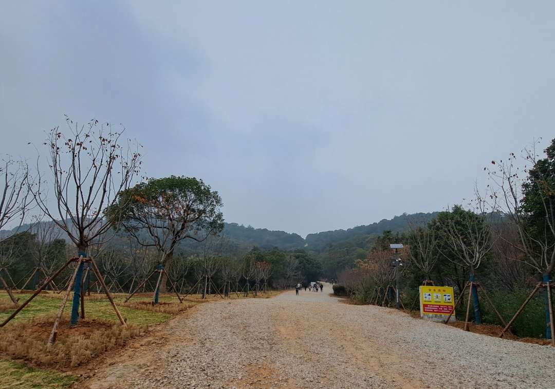 ������ɽ