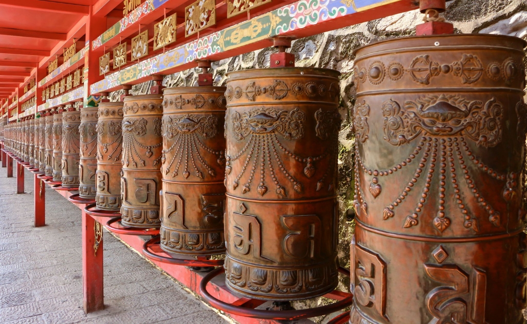 �ຣ������