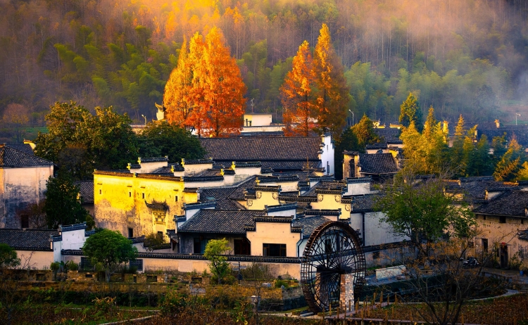 �����������ݹŴ���