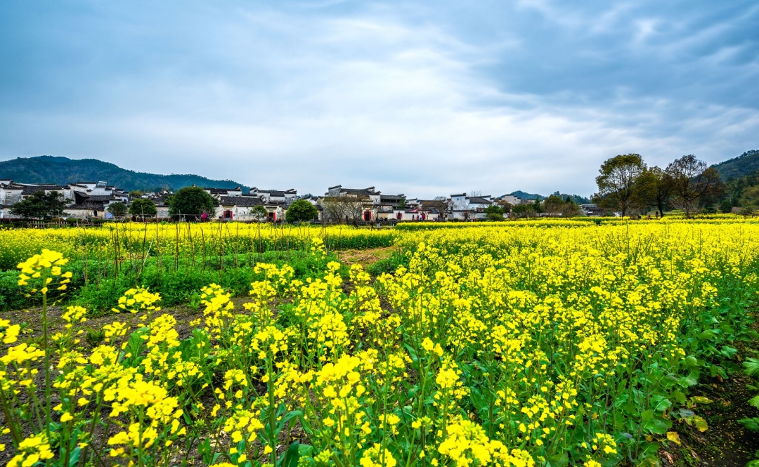 ���ݹŴ���